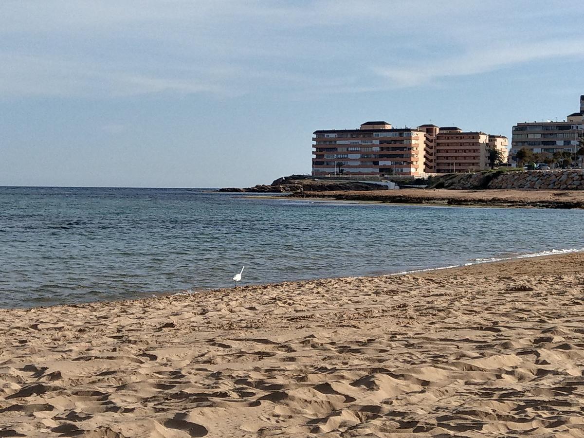 Ferienwohnung Torrevieja Luaran gambar